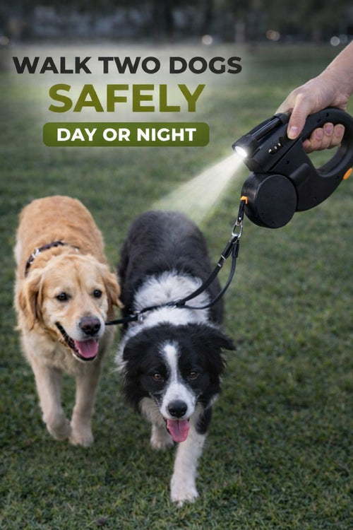Tangle-Free Dual Dog Leash